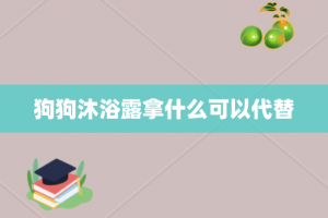 狗狗沐浴露拿什么可以代替