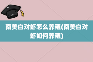 南美白对虾怎么养殖(南美白对虾如何养殖)