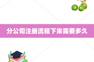分公司注册流程下来需要多久