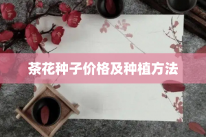 茶花种子价格及种植方法