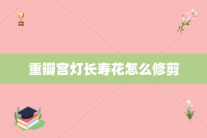 重瓣宫灯长寿花怎么修剪
