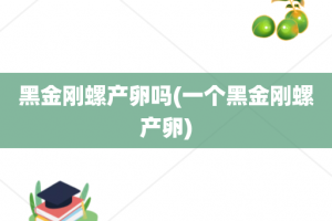 黑金刚螺产卵吗(一个黑金刚螺产卵)