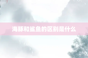 海豚和鲨鱼的区别是什么