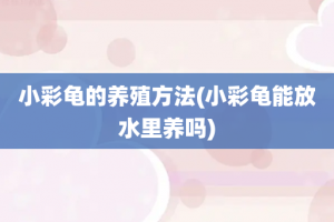 小彩龟的养殖方法(小彩龟能放水里养吗)