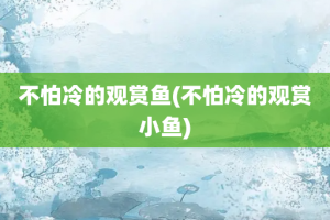 不怕冷的观赏鱼(不怕冷的观赏小鱼)