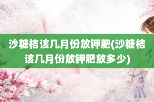 沙糖桔该几月份放钾肥(沙糖桔该几月份放钾肥放多少)