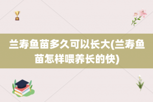 兰寿鱼苗多久可以长大(兰寿鱼苗怎样喂养长的快)