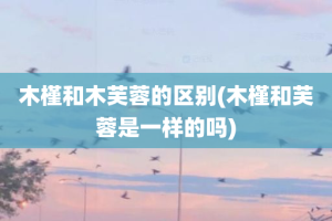 木槿和木芙蓉的区别(木槿和芙蓉是一样的吗)