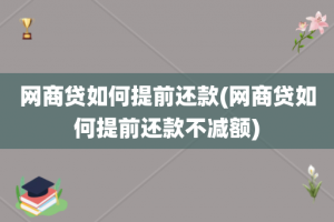 网商贷如何提前还款(网商贷如何提前还款不减额)