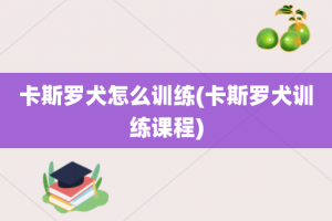 卡斯罗犬怎么训练(卡斯罗犬训练课程)