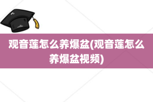 观音莲怎么养爆盆(观音莲怎么养爆盆视频)