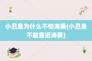 小丑鱼为什么不怕海葵(小丑鱼不敢靠近海葵)