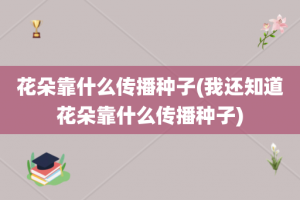 花朵靠什么传播种子(我还知道花朵靠什么传播种子)