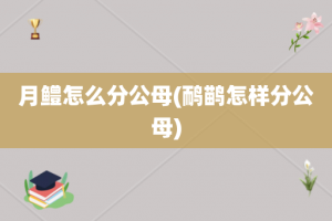 月鳢怎么分公母(鸸鹋怎样分公母)