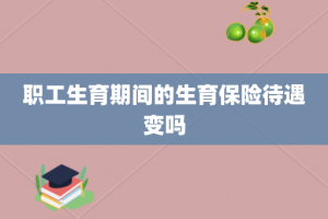职工生育期间的生育保险待遇变吗