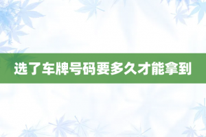 选了车牌号码要多久才能拿到