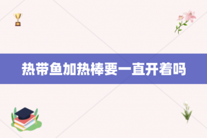 热带鱼加热棒要一直开着吗