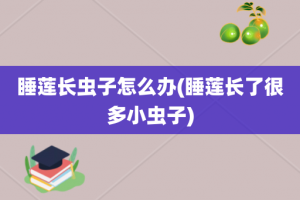 睡莲长虫子怎么办(睡莲长了很多小虫子)