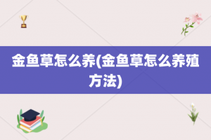 金鱼草怎么养(金鱼草怎么养殖方法)