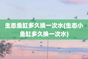 生态鱼缸多久换一次水(生态小鱼缸多久换一次水)