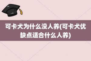 可卡犬为什么没人养(可卡犬优缺点适合什么人养)