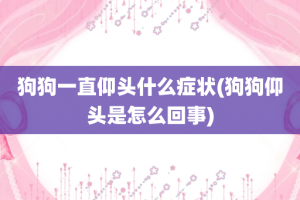 狗狗一直仰头什么症状(狗狗仰头是怎么回事)