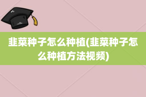 韭菜种子怎么种植(韭菜种子怎么种植方法视频)