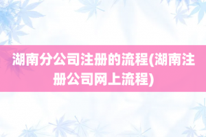 湖南分公司注册的流程(湖南注册公司网上流程)