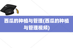 西瓜的种植与管理(西瓜的种植与管理视频)