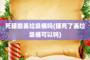 死猫能丢垃圾桶吗(猫死了丢垃圾桶可以吗)