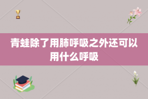 青蛙除了用肺呼吸之外还可以用什么呼吸