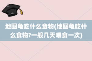 地图龟吃什么食物(地图龟吃什么食物?一般几天喂食一次)