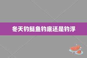 冬天钓鲢鱼钓底还是钓浮