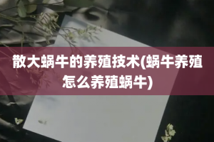 散大蜗牛的养殖技术(蜗牛养殖怎么养殖蜗牛)