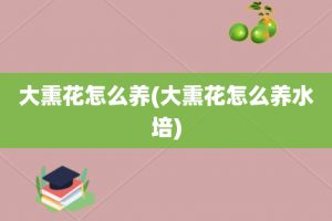 大熏花怎么养(大熏花怎么养水培)