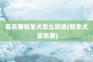 喜乐蒂牧羊犬怎么训练(牧羊犬 喜乐蒂)