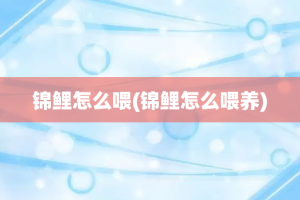 锦鲤怎么喂(锦鲤怎么喂养)