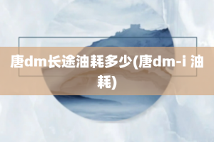 唐dm长途油耗多少(唐dm-i 油耗)