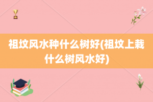 祖坟风水种什么树好(祖坟上栽什么树风水好)