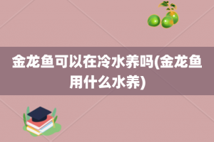 金龙鱼可以在冷水养吗(金龙鱼用什么水养)