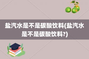 盐汽水是不是碳酸饮料(盐汽水是不是碳酸饮料?)
