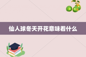 仙人球冬天开花意味着什么