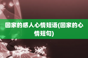 回家的感人心情短语(回家的心情短句)