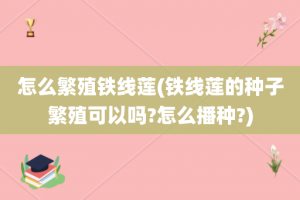 怎么繁殖铁线莲(铁线莲的种子繁殖可以吗?怎么播种?)