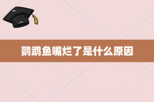 鹦鹉鱼嘴烂了是什么原因