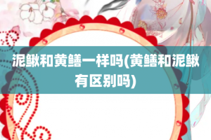 泥鳅和黄鳝一样吗(黄鳝和泥鳅有区别吗)
