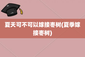 夏天可不可以嫁接枣树(夏季嫁接枣树)