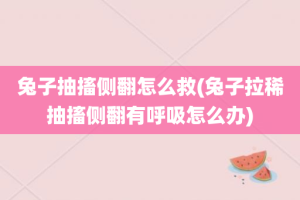 兔子抽搐侧翻怎么救(兔子拉稀抽搐侧翻有呼吸怎么办)