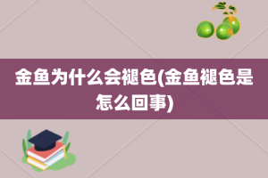 金鱼为什么会褪色(金鱼褪色是怎么回事)