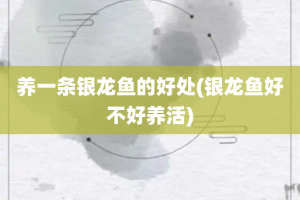 养一条银龙鱼的好处(银龙鱼好不好养活)